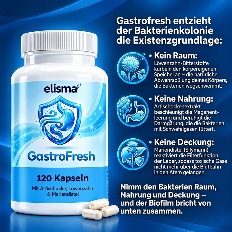 GastroFresh + 🎁20€ Gutschein kostenlos