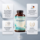 Elisma® Alltagsanker